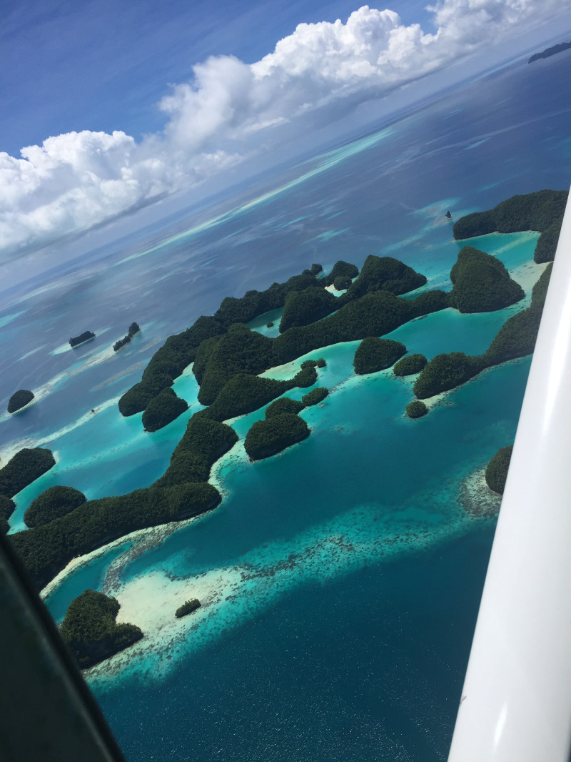 浮潜带小朋友怎么玩,帕劳亲子浮潜