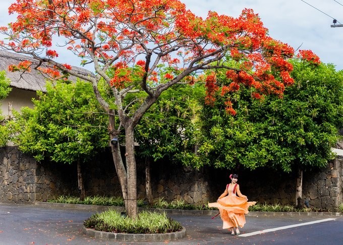 绝色天堂毛里求斯，你想要的干货攻略全在这里了！