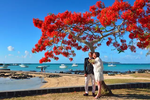 绝色天堂毛里求斯，你想要的干货攻略全在这里了！