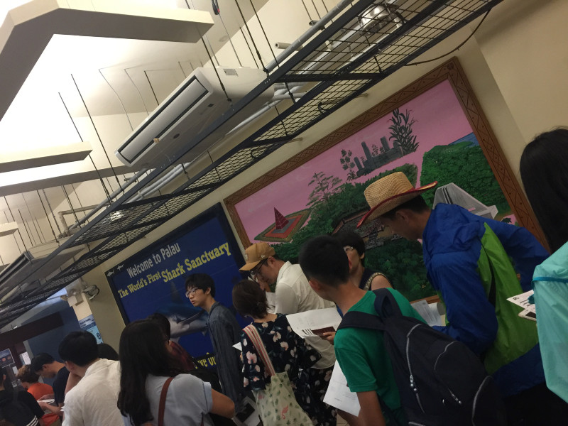 浮潜带小朋友怎么玩,帕劳亲子浮潜