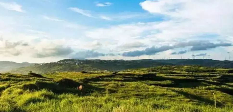 厦门灯塔公园拍照好去处,厦门鼓浪屿打卡景点灯塔