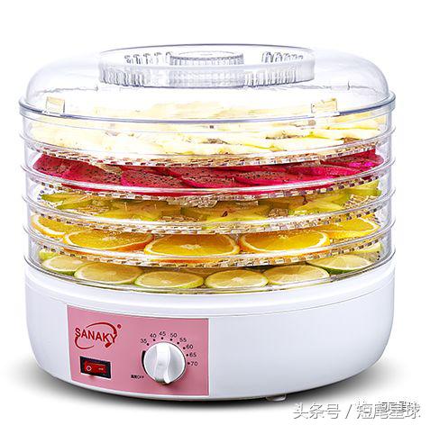 兔子吃菜需要注意什么,兔子吃什么菜不容易生病