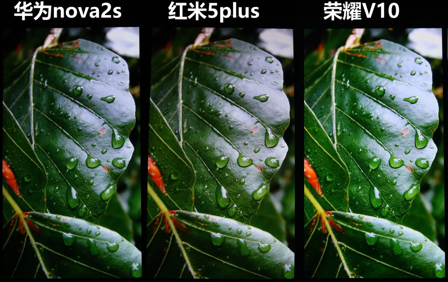 红米5plus测评,千元机红米