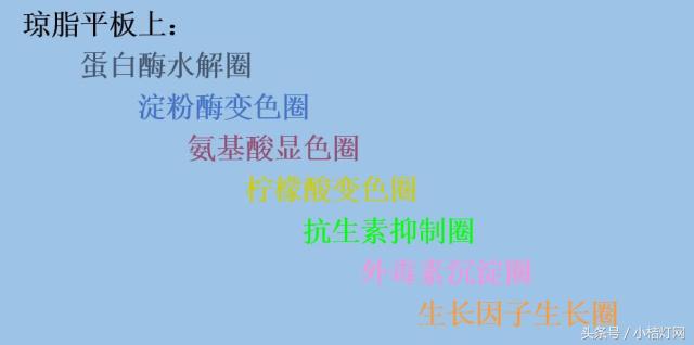 ivd专业知识,ivd相关知识