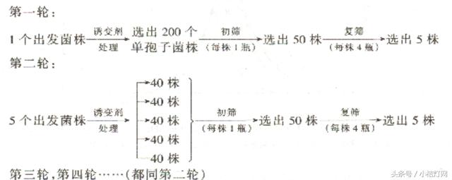 ivd专业知识,ivd相关知识