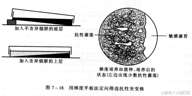 ivd专业知识,ivd相关知识