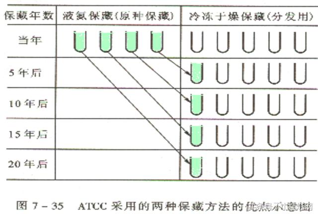 ivd专业知识,ivd相关知识