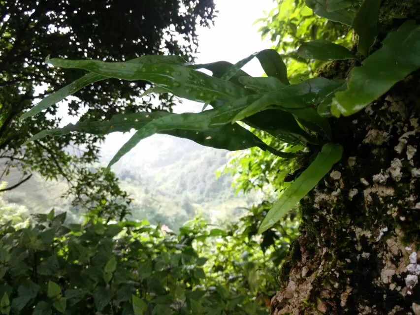 骑行云南山路是不是特别多,骑行滇藏困难处