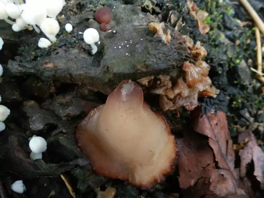 骑行云南山路是不是特别多,骑行滇藏困难处