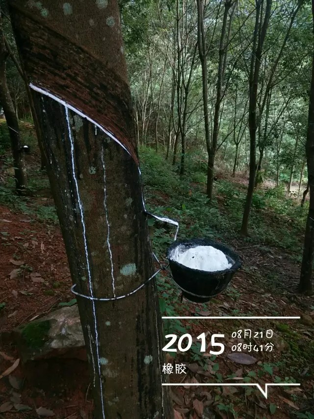 骑行云南山路是不是特别多,骑行滇藏困难处