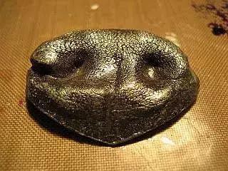 因为太爱狗鼻子，这帮老外搞了个“拜黑鼻头”神教！