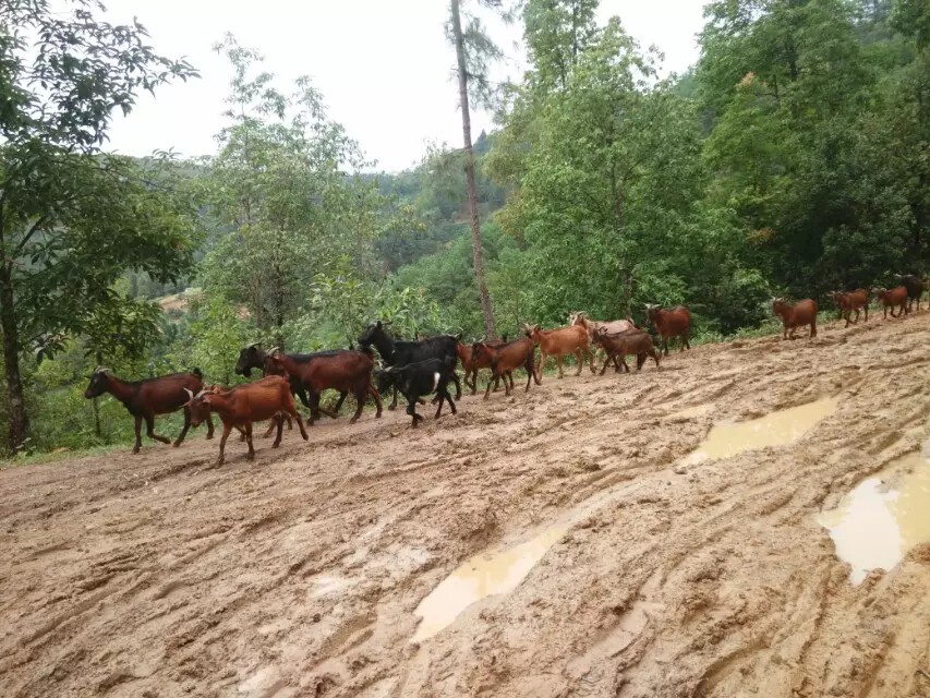 骑行云南山路是不是特别多,骑行滇藏困难处