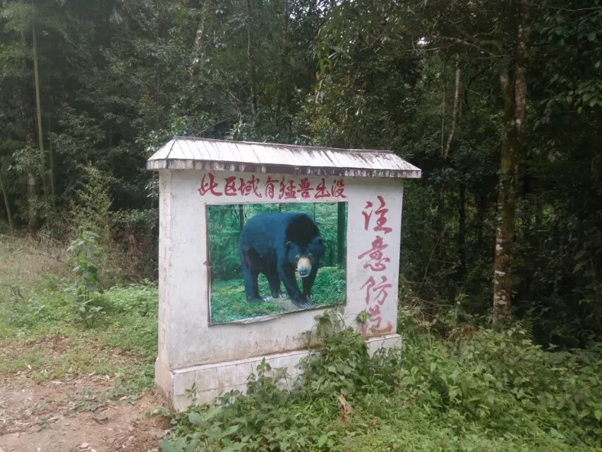 骑行云南山路是不是特别多,骑行滇藏困难处