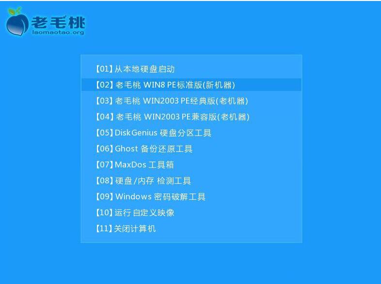 老毛桃pe装win10详细教程,老毛桃pe安装win10系统