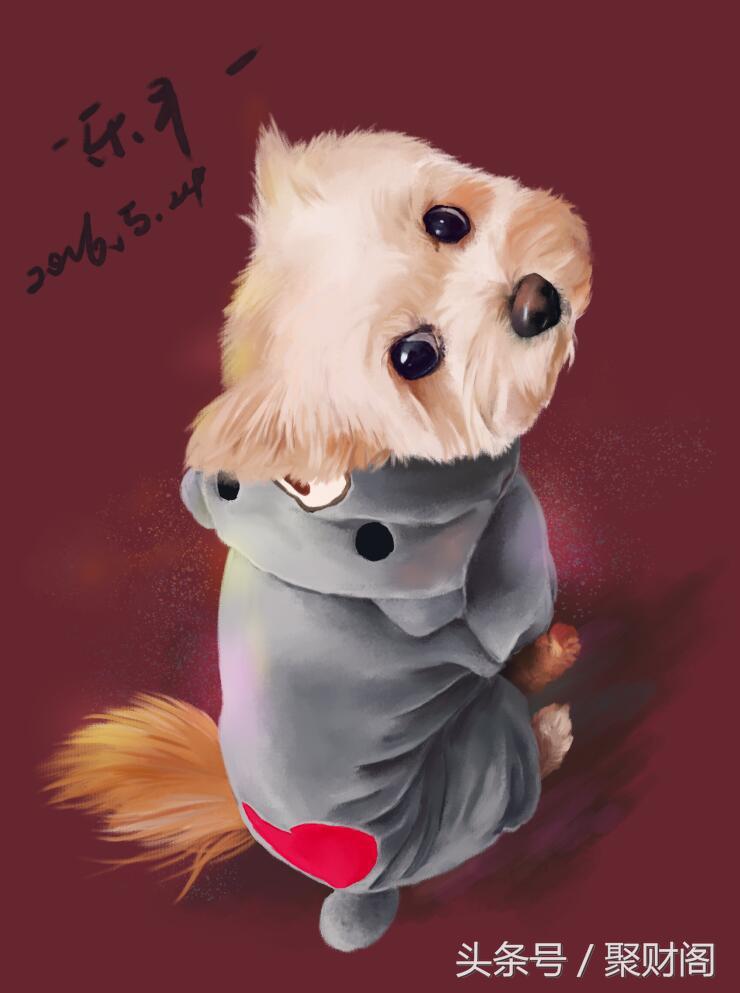 属狗人在狗年各个月份的运程,70年属狗男与属狗女运势