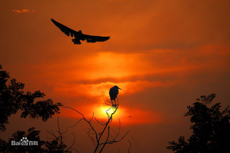 山东省昌邑市房价,山东省昌邑市办公家具