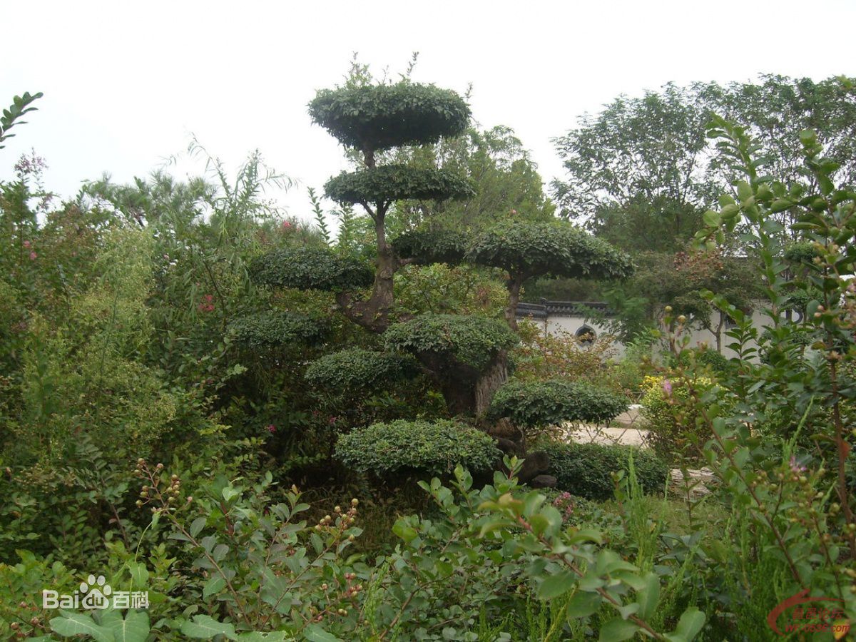 山东省昌邑市房价,山东省昌邑市办公家具