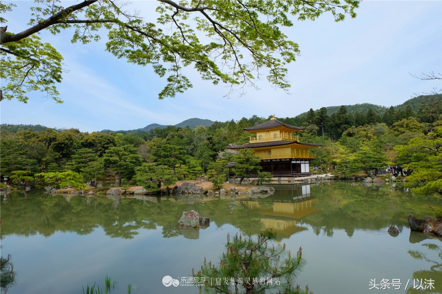 奈良喂小鹿完整版,日本奈良小鹿喂食