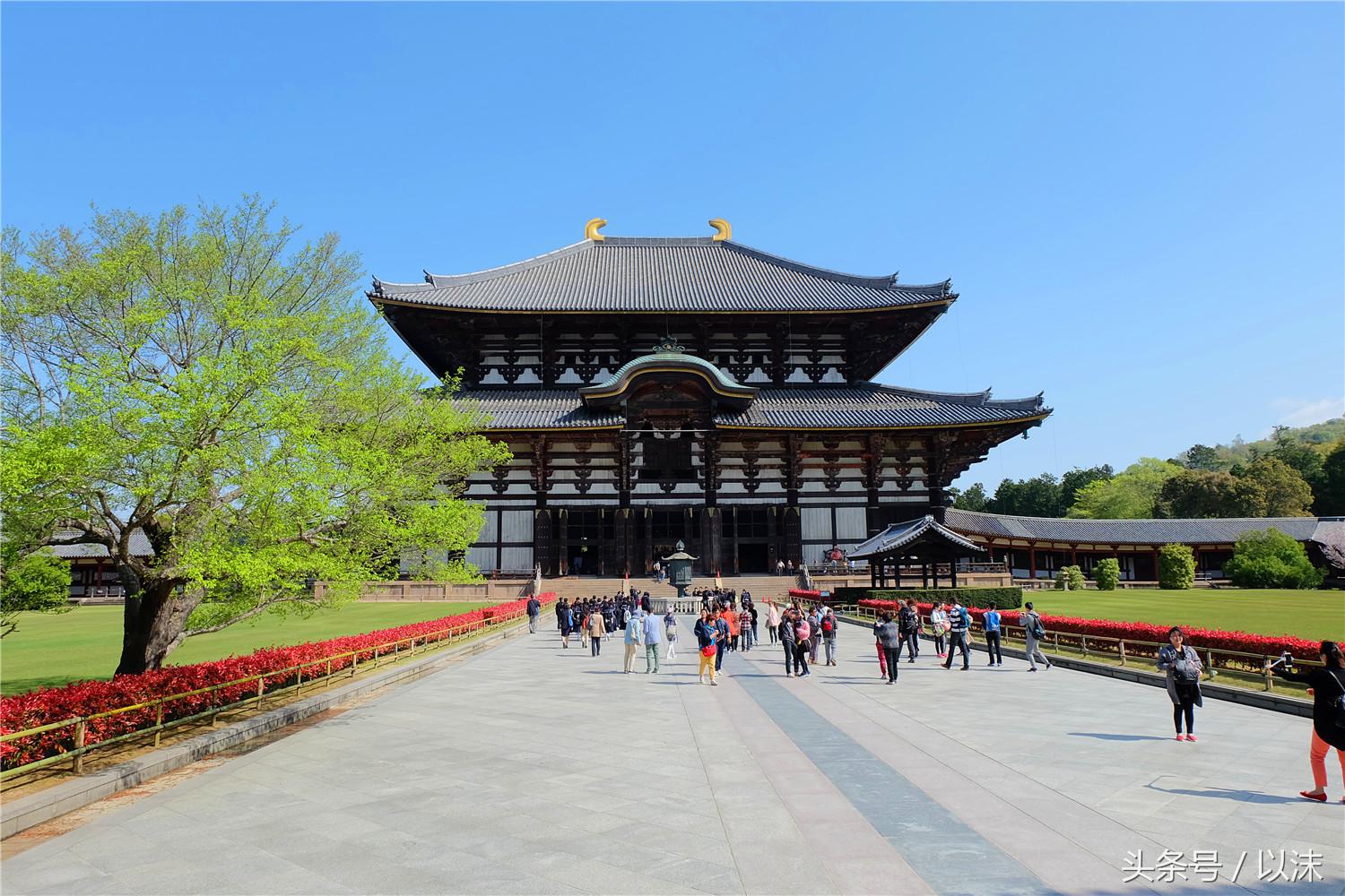 奈良喂小鹿完整版,日本奈良小鹿喂食