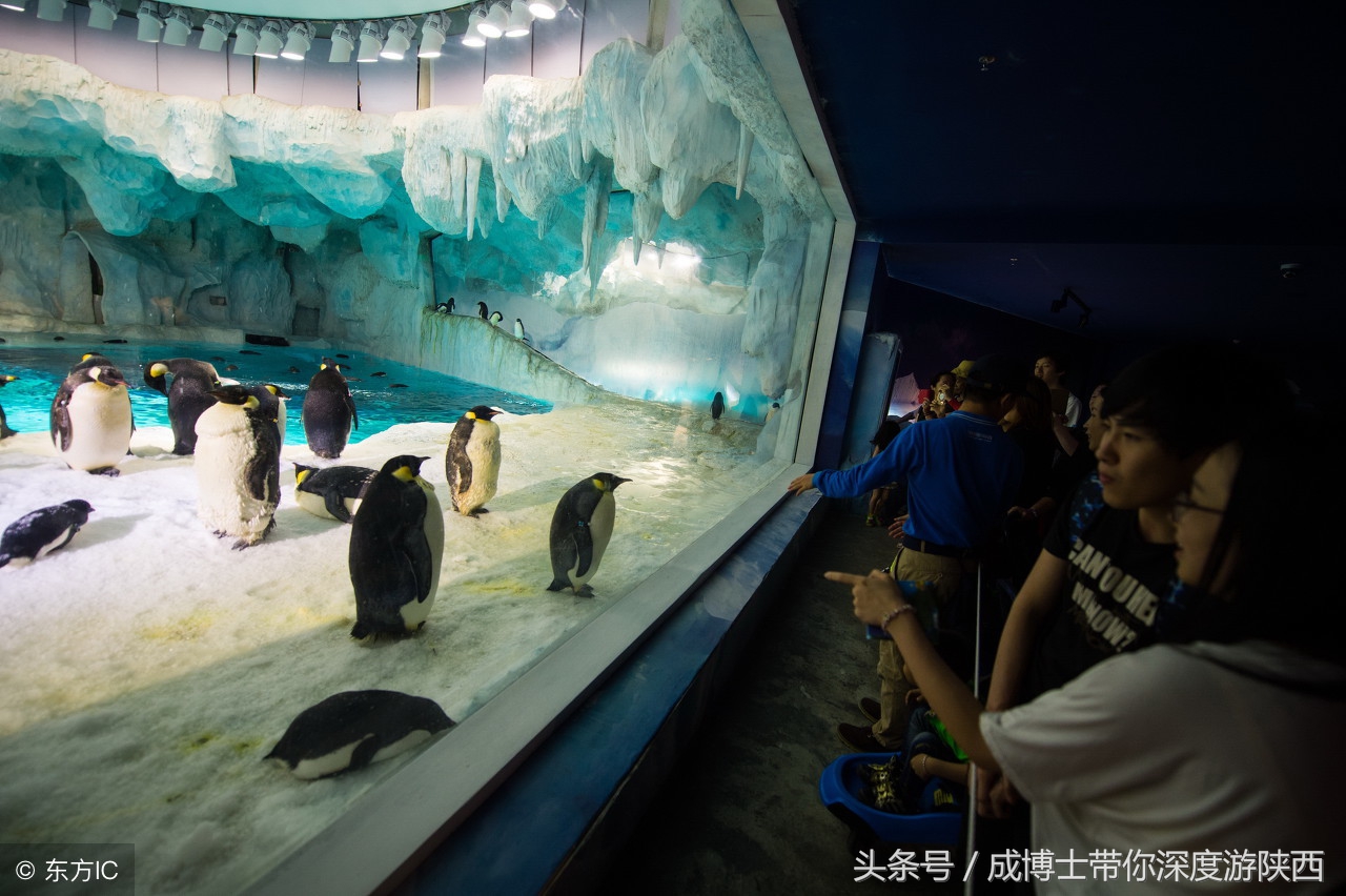 你去过20元门票的5a级景区吗,5a级景区门票价格排名