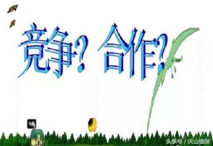 卖化肥500吨利润多少钱,卖化肥的利润怎么算