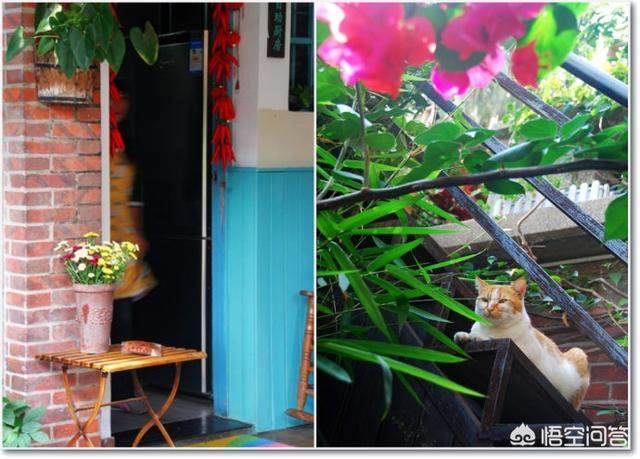 厦门可以看海的鼓浪屿附近的民宿,在厦门鼓浪屿有一百元的民宿吗