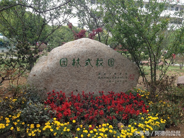 南京江宁区小学前十名,南京江宁中学排名名单