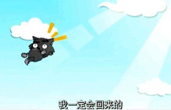 不吹不黑的电影,不吹不黑真实评价