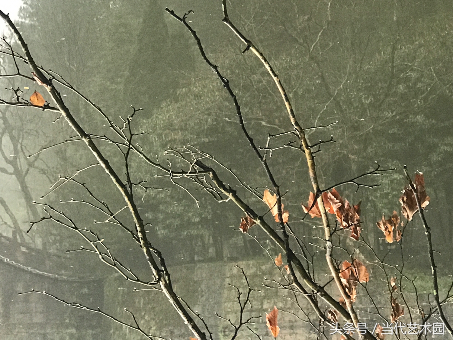 鸿运当头墨豪国画作品欣赏,墨豪国画作品百鸟图拍卖现场