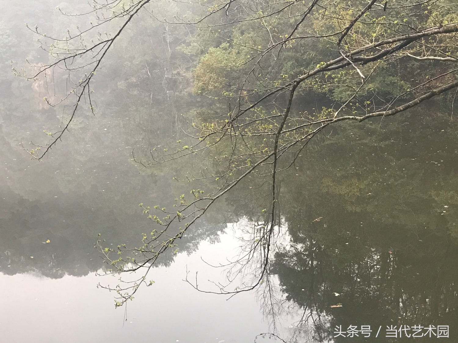 鸿运当头墨豪国画作品欣赏,墨豪国画作品百鸟图拍卖现场