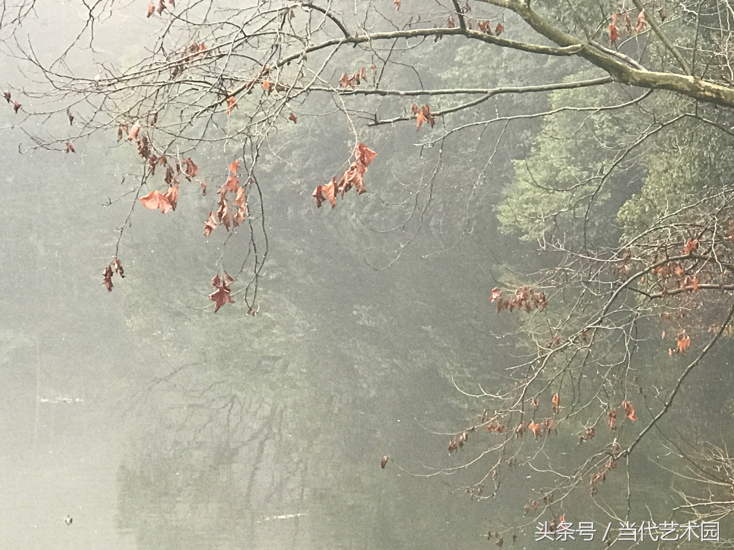 鸿运当头墨豪国画作品欣赏,墨豪国画作品百鸟图拍卖现场