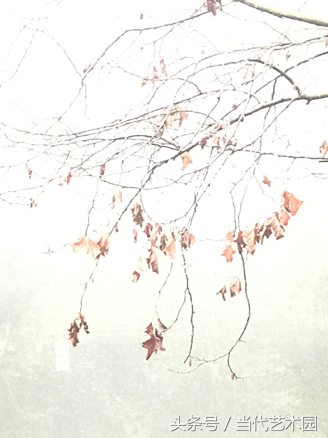 鸿运当头墨豪国画作品欣赏,墨豪国画作品百鸟图拍卖现场