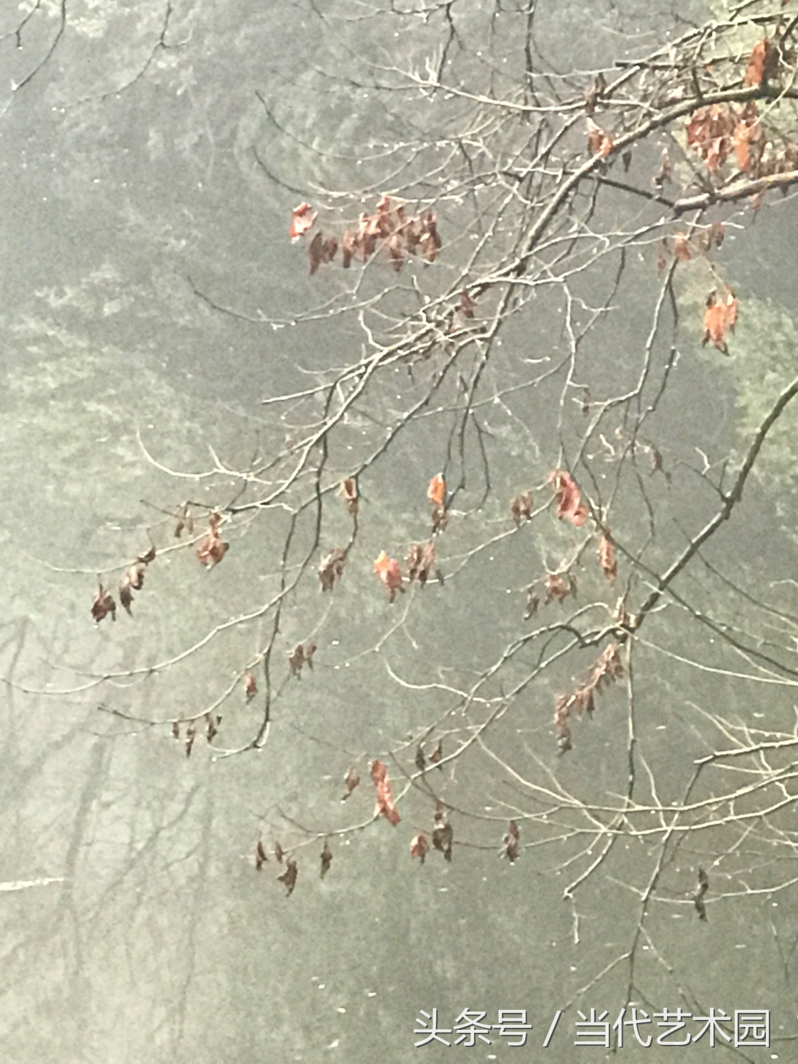 鸿运当头墨豪国画作品欣赏,墨豪国画作品百鸟图拍卖现场