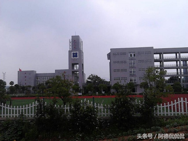 南京江宁区小学前十名,南京江宁中学排名名单