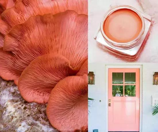 适合新手的大地色妆容,珊瑚橙妆容教程