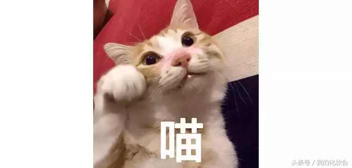 不靠医美拯救垮脸,不靠任何手段改善痘痘