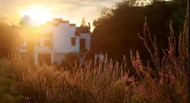 独家揭秘！6月开业的南京首个万达茂，到底啥样？