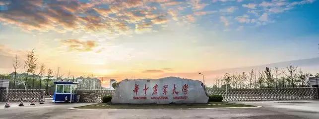 ppt中好看的表格设计,ppt里好看的表格设计