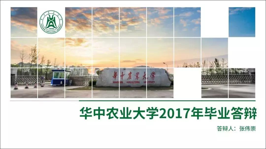 ppt中好看的表格设计,ppt里好看的表格设计