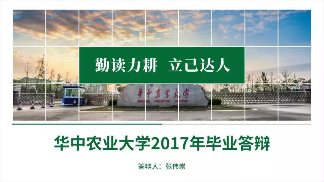 ppt中好看的表格设计,ppt里好看的表格设计