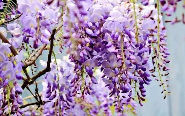 深圳2小时内周边自驾游,深圳爬山看海攻略旅游线路