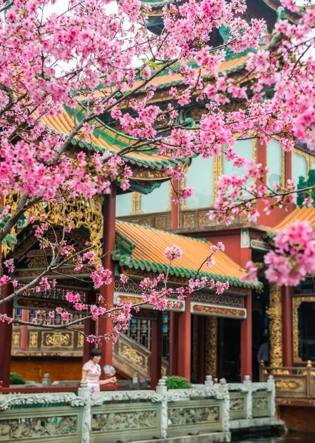 深圳2小时内周边自驾游,深圳爬山看海攻略旅游线路