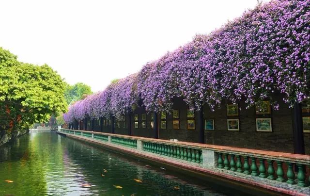 深圳2小时内周边自驾游,深圳爬山看海攻略旅游线路