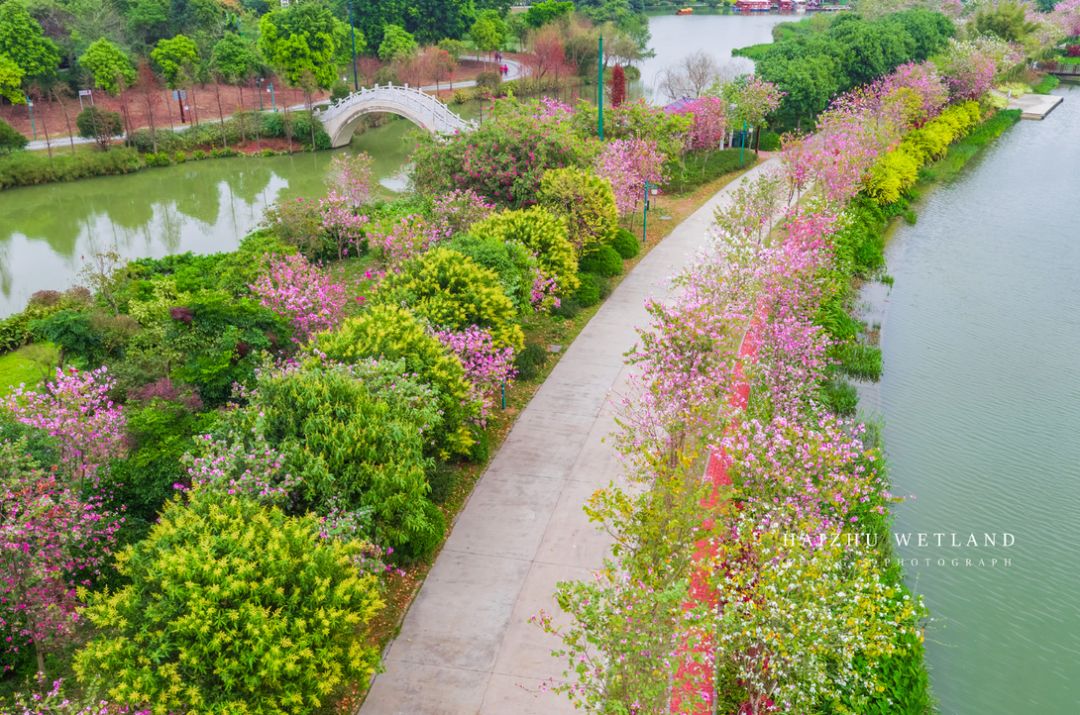 深圳2小时内周边自驾游,深圳爬山看海攻略旅游线路