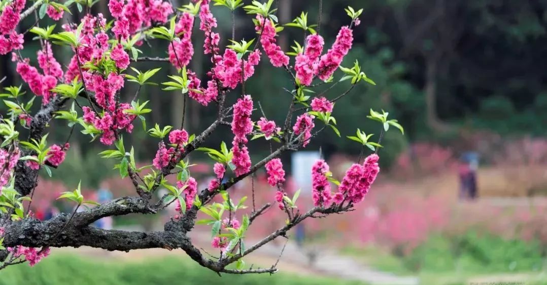 深圳2小时内周边自驾游,深圳爬山看海攻略旅游线路