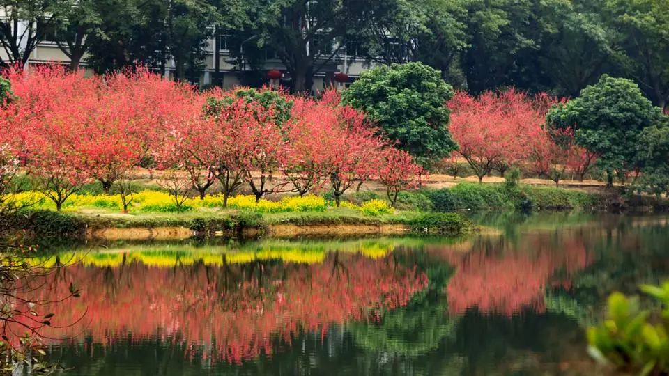 深圳2小时内周边自驾游,深圳爬山看海攻略旅游线路