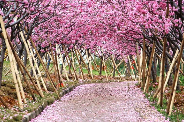 深圳2小时内周边自驾游,深圳爬山看海攻略旅游线路