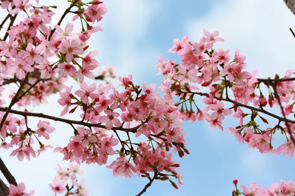 深圳2小时内周边自驾游,深圳爬山看海攻略旅游线路