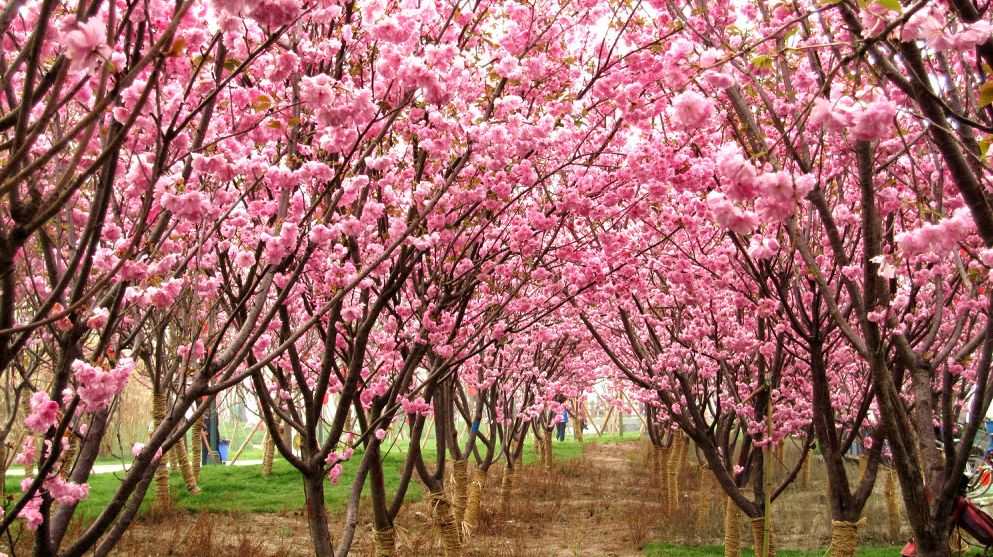 深圳2小时内周边自驾游,深圳爬山看海攻略旅游线路