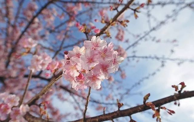 深圳2小时内周边自驾游,深圳爬山看海攻略旅游线路